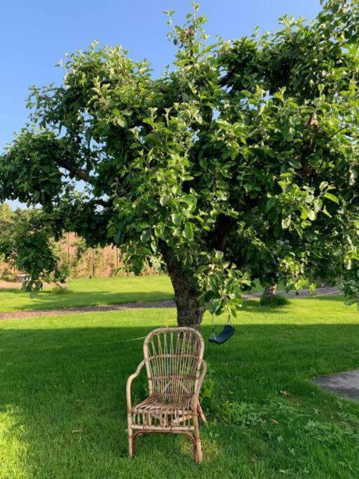 Rusttheater, Genieten Van Rust En Ruimte Villa Reutum Kültér fotó